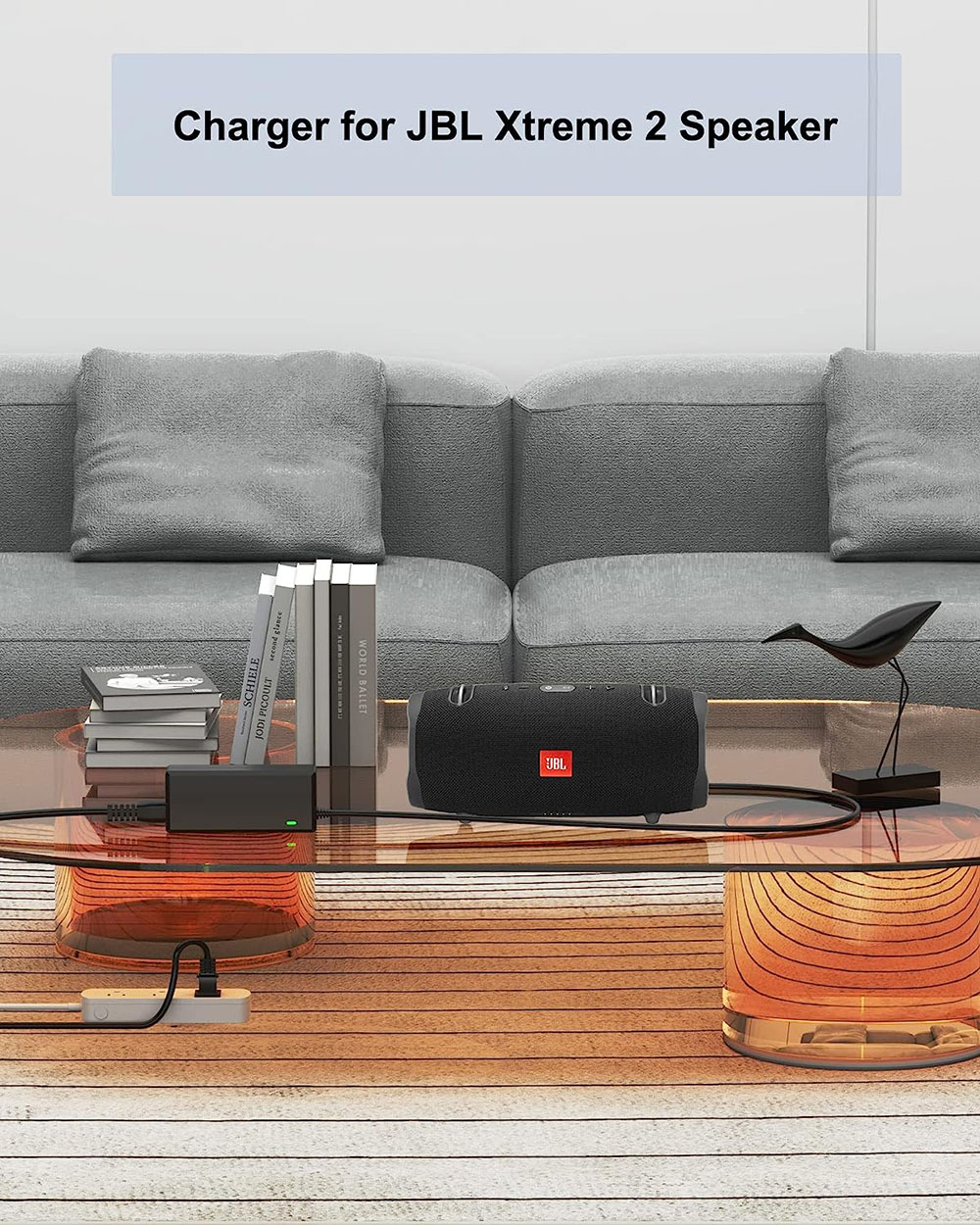 19V Charger Power Supply for X - Xtreme Power Tools review and price